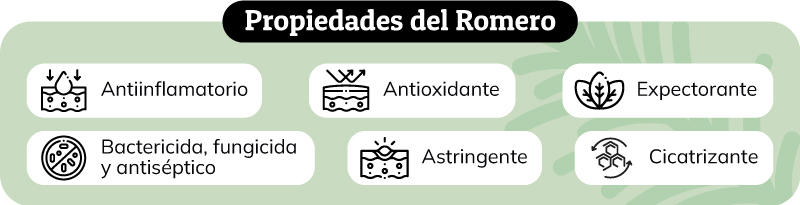 Propiedades del Romero en la Cosmética Natural