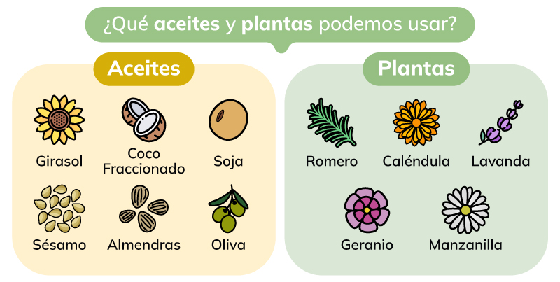 ¿Qué aceites y plantas usar para hacer oleomacerados?