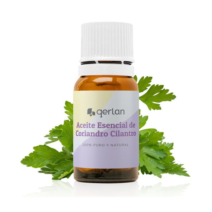 Aceite Esencial de Coriandro Cilantro Jabonarium - Aceite Esencial Cosmética Natural