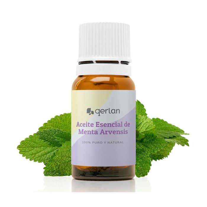 Aceite Esencial de Menta Arvensis Jabonarium - Aceite Esencial Cosmética Natural