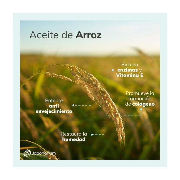 Aceite de Arroz: propiedades y beneficios - Jabonarium