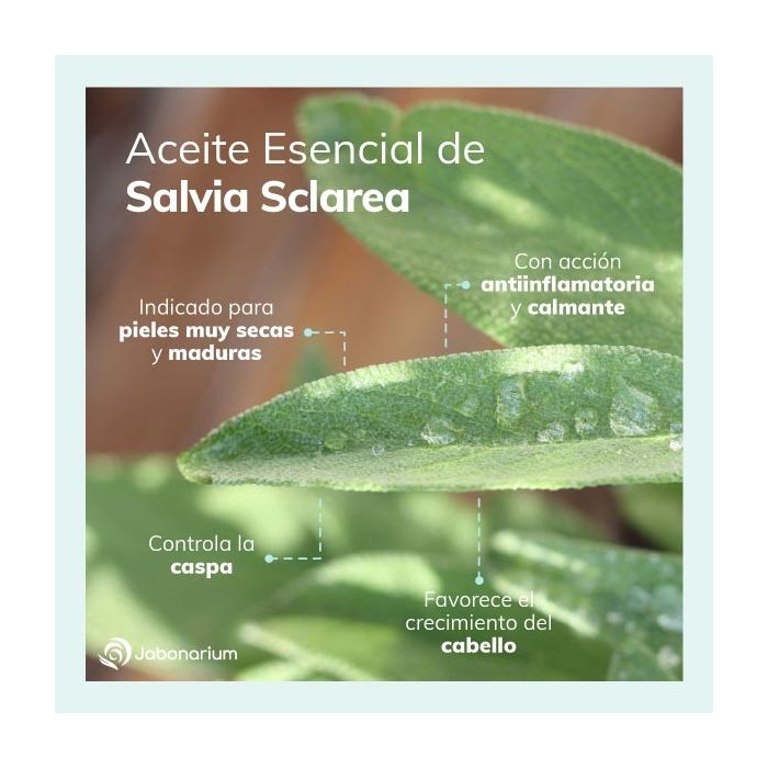 Aceite Esencial de Salvia Jabonarium - Aceite Cosmética Natural
