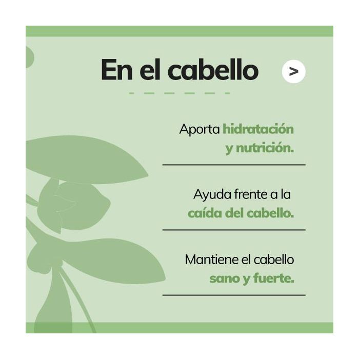 El aceite de jojoba para el pelo - Jabonarium Cosmética Natural