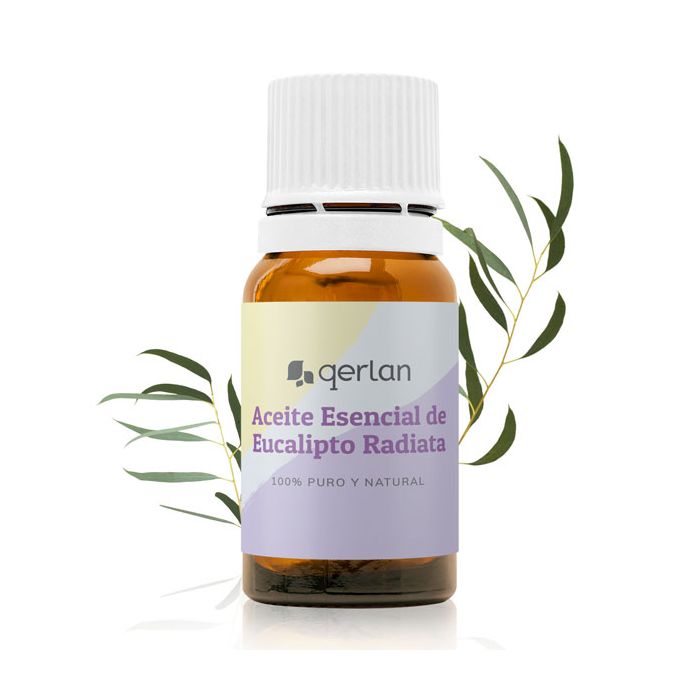 Aceite Esencial de Eucalipto Radiata - Jabonarium