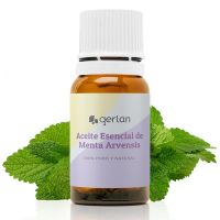 Menthe poivrée Arvensis Huile essentielle