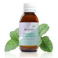 Hydrolat de menthe poivrée Bio