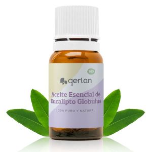 Aceite Esencial de Eucalipto Globulus - Comprar - Jabonarium Cosmética  Natural