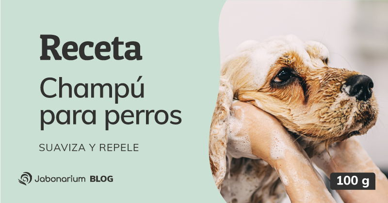 Cómo hacer Champú para Perros Suavizante y Repelente con Aloe Vera y Aceite de Karanja