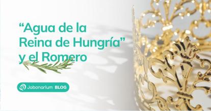 La historia detrás del Romero y el Agua de la Reina de Hungría 