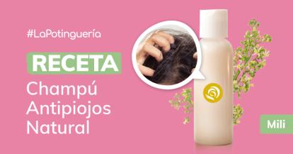 Cómo hacer Champú Antipiojos Infantil con Neem y Árbol del Té