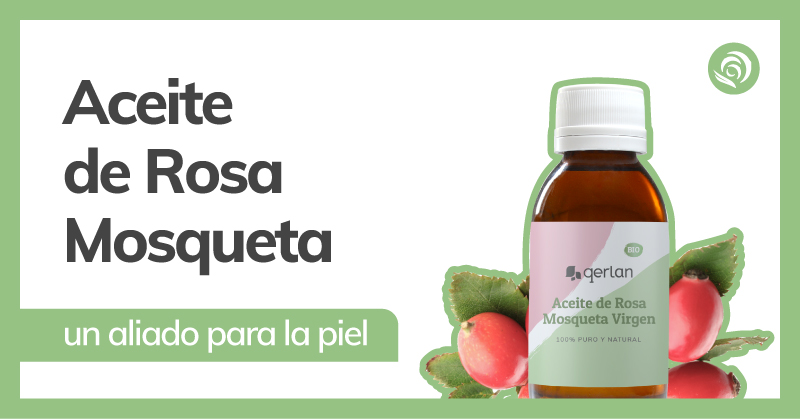 Aceite de Rosa Mosqueta: qué es y para qué sirve