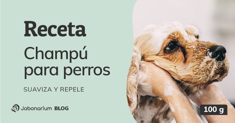 como hacer un champú para perros natural y casero