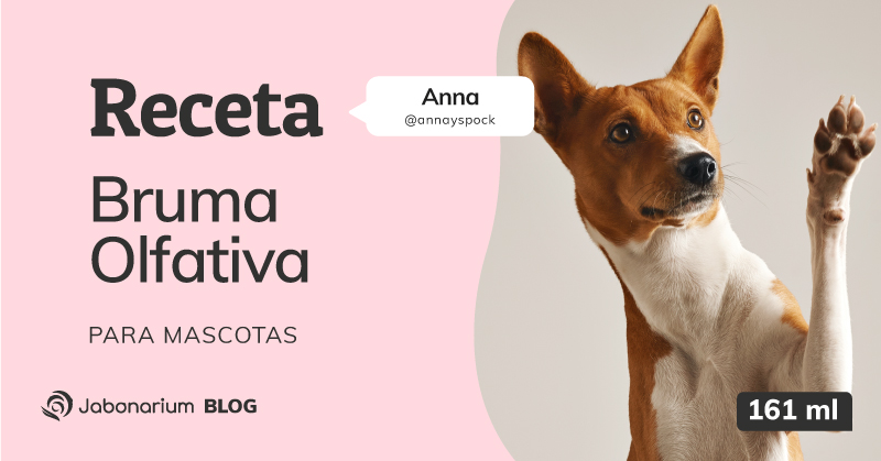 como hacer una bruma olfativa para perros casera