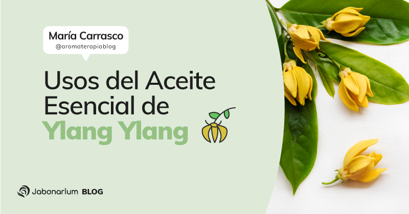 Aceite esencial de ylang ylang para favorecer la calma