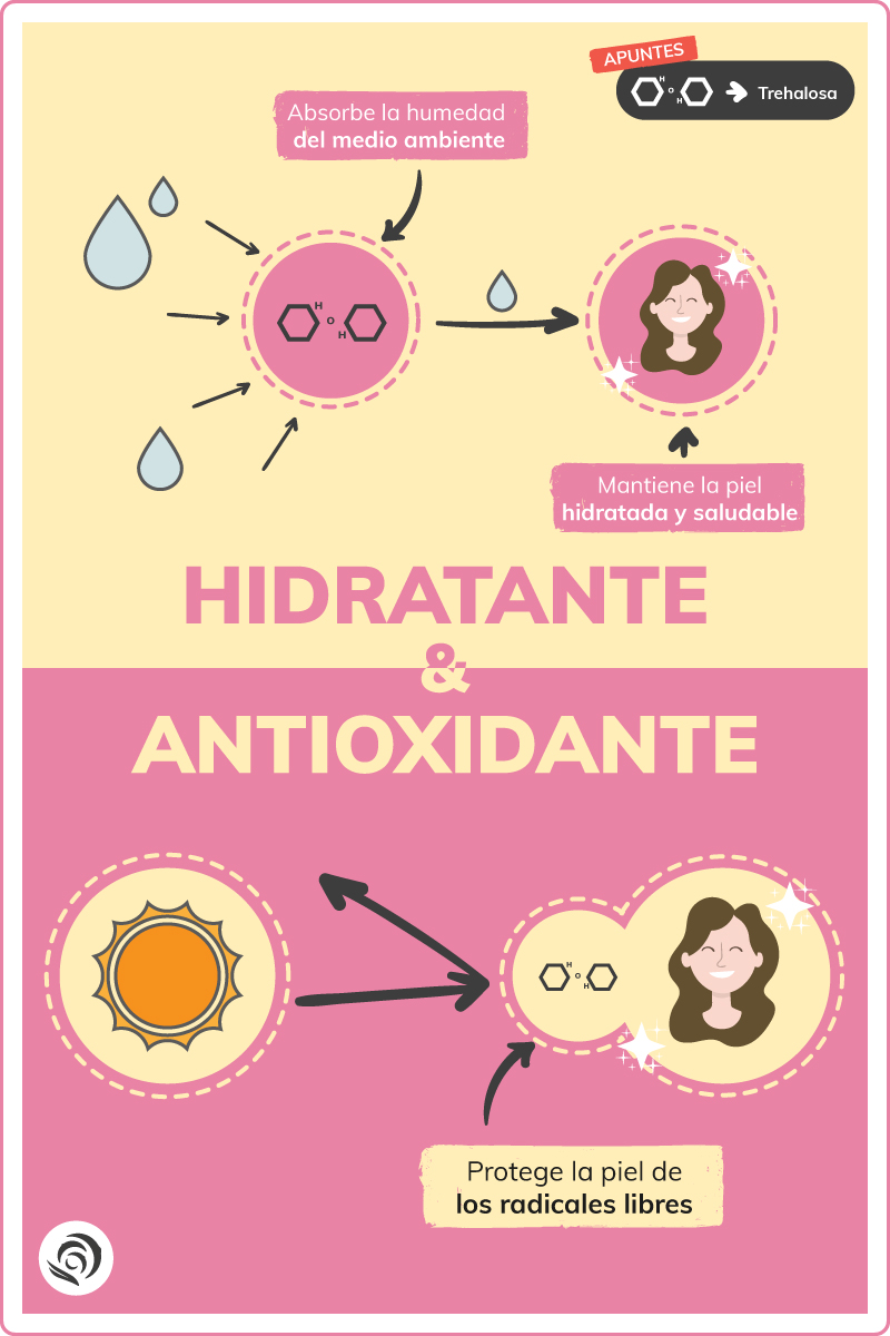 propiedades hidratantes y antioxidantes de la trehalosa