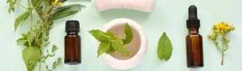 Aceites Vegetales Portadores